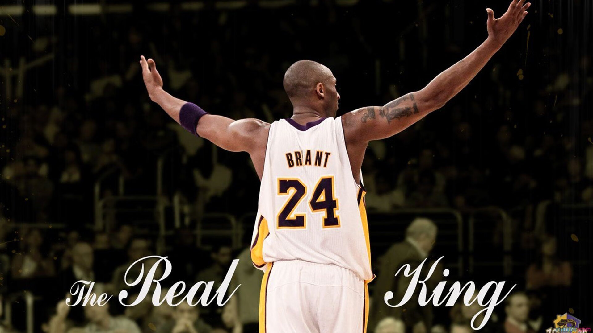 湖人队迎来关键比赛，目标季后赛，本赛季湖人队