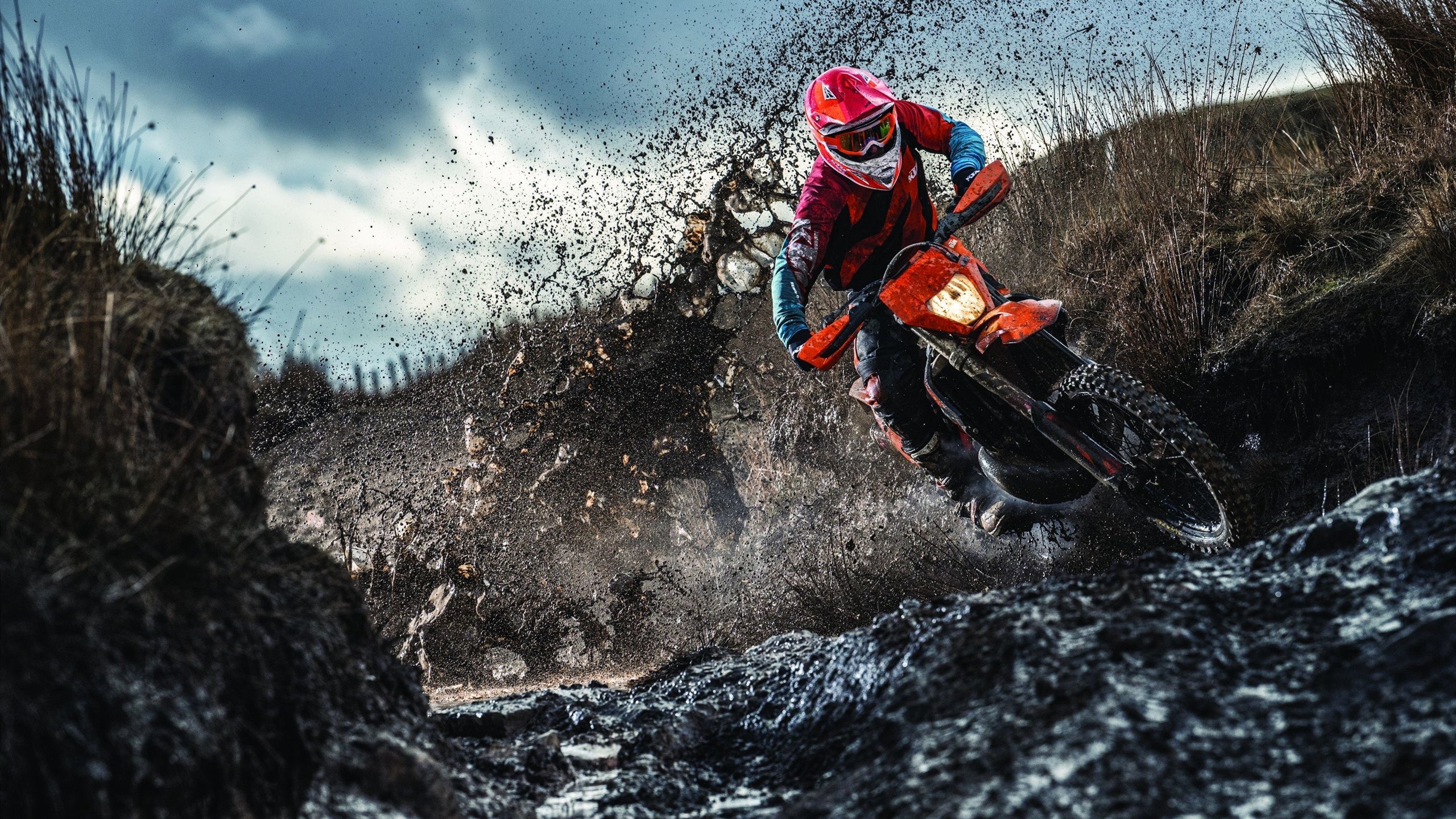 跳水动作连贯性增强，稳定性提升，跳水连续动作