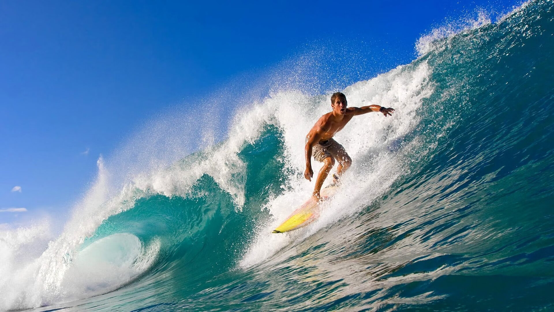 特色体育节在城市中心区举办，吸引众多市民参与，体育特色活动实施方案