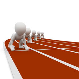 体育新闻中心构建全民运动传播大格局，体育运动 新闻